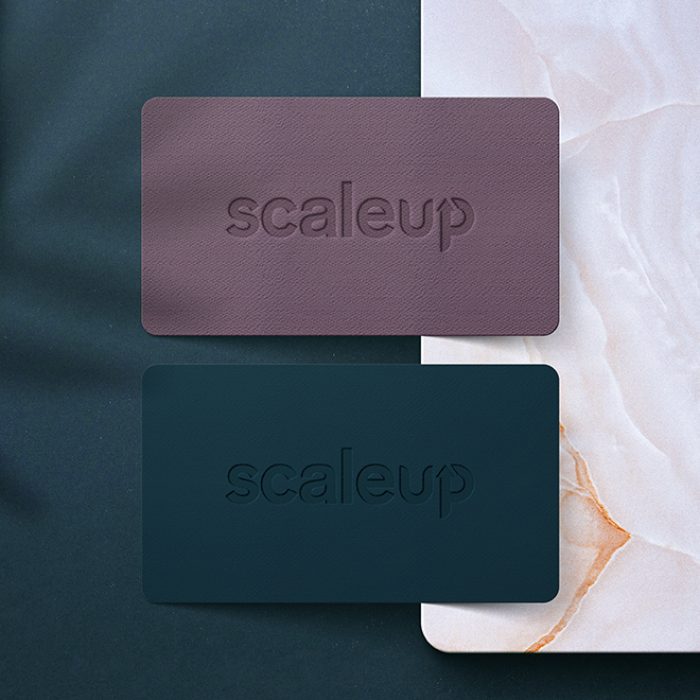 Logo Mockup by Mithun Mitra projekt wizytówki scale up